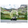 PASSO ROLLE - 20 - 06 - 2026 ORA 12.00 - 13.00 N°123