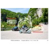 copy of copy of copy of copy of PASSO SAN BOLDO - 27 - 06 - 2026 ORA 11.00/12.00 N°001