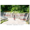 PASSO SAN BOLDO - 27 - 06 - 2026 ORA 11.00/12.00 N 157