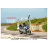 MONTE GRAPPA - 28 - 06 - 2026 ORA 10.00/11.00 N°036