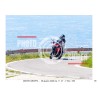 MONTE GRAPPA - 28 - 06 - 2026 ORA 11.00/12.00 N°059