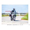 MONTE GRAPPA - 28 - 06 - 2026 ORA 11.00/12.00 N°063