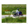 MONTE GRAPPA - 28 - 06 - 2026 ORA 11.00/12.00 N°076