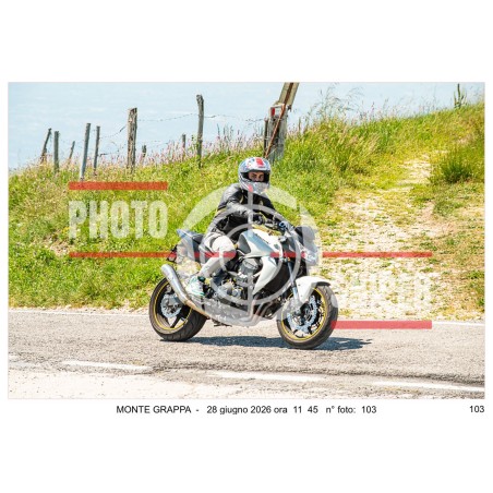MONTE GRAPPA - 28 - 06 - 2026 ORA 11.00/12.00 N°103