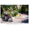 copy of copy of copy of copy of copy of PASSO SAN BOLDO - 04 - 07 - 2026 ORA 10.00/11.00 N°001