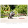 PASSO SAN BOLDO - 04 - 07 - 2026 ORA 11.00/12.00 N°047