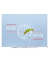 FLY BORSO DEL GRAPPA 09/04/26 ORA 15.00 - 16.00 N°011