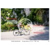 copy of copy of copy of PASSO SAN BOLDO - 18 - 07 - 2026 ORA 10.00/11.00 N°001