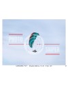FLY BORSO DEL GRAPPA 09/04/26 ORA 16.00 - 17.00 N°021