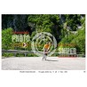 copy of copy of copy of copy of copy of copy of copy of PASSO SAN BOLDO - 18 - 07 - 2026 ORA 11.00/12.00 N°001