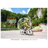 copy of copy of copy of copy of copy of copy of copy of copy of PASSO SAN BOLDO - 18 - 07 - 2026 ORA 11.00/12.00 N°001