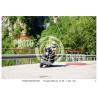 copy of PASSO SAN BOLDO - 19 - 07 - 2026 ORA 10.00/11.00 N°001