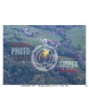 FLY BORSO DEL GRAPPA 09/04/26 ORA 16.00 - 17.00 N°053