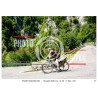 copy of copy of copy of copy of copy of copy of PASSO SAN BOLDO - 19 - 07 - 2026 ORA 11.00/12.00 N°001