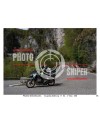 PASSO SAN BOLDO - 12 - 04 - 2026 ORA 11.00/12.00 N°056