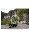 PASSO SAN BOLDO - 12 - 04 - 2026 ORA 12.00 - 13.00 N°101