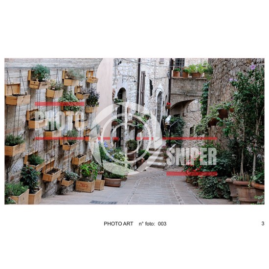 copy of PHOTO ART