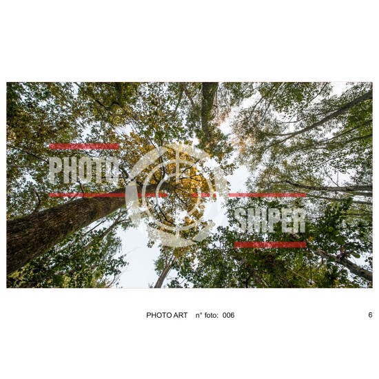copy of PHOTO ART