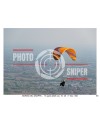 BORSO DEL GRAPPA 16/04/26 ORA 16.00 - 17.00 N°060