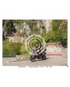 PASSO SAN BOLDO - 18 - 04 - 2026 ORA 10.00/11.00 N°054