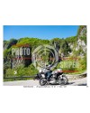 PASSO SAN BOLDO - 25 - 04 - 2026 ORA 10.00/11.00 N°037