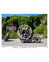 PASSO SAN BOLDO - 01 - 05 - 2026 ORA 11.00/12.00 N°118