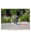 PASSO SAN BOLDO - 02 - 05 - 2026 ORA 11.00/12.00 N°010