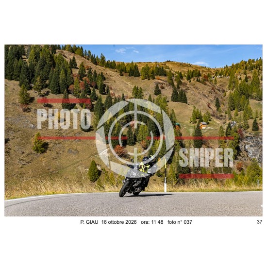 copy of P. GIAU 16/10/2026 ora 11.30-12.30 n° 001