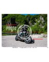 PASSO SAN BOLDO - 17 - 05 - 2026 ORA 10.00/11.00 N°073