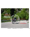 PASSO SAN BOLDO - 17 - 05 - 2026 ORA 11.00/12.00 N°032