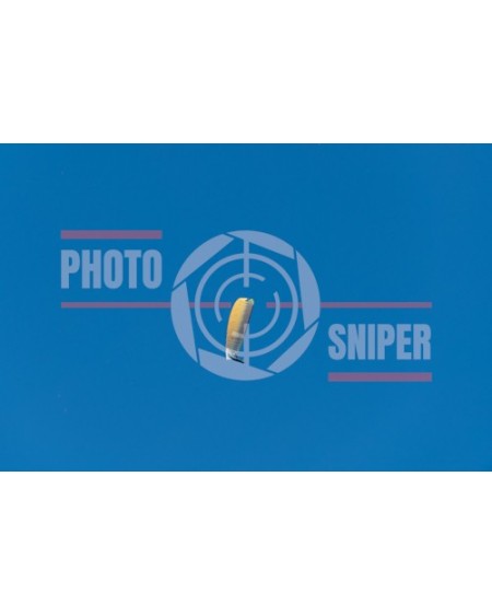 Monte Grappa 07/03/26 12,35  n°019