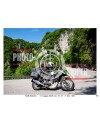 PASSO SAN BOLDO - 31 - 05 - 2026 ORA 10.00/11.00 N°080