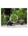 PASSO SAN BOLDO - 31 - 05 - 2026 ORA 10.00/11.00 N°090