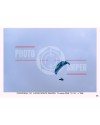 FLY - Monte Grappa 13/03/26 ora 15/16  n°066