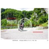 copy of copy of copy of PASSO SAN BOLDO - 6 - 06 - 2026 ORA 12.00/12.00 N°001