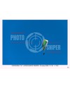 FLY MONTE GRAPPA 19/03/26  ORA 15/16  N°016