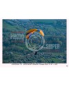 FLY MONTE GRAPPA 19/03/26  ORA 15/16  N°032