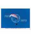 FLY MONTE GRAPPA 19/03/26  ORA 15/16  N°043