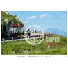 MONTE GRAPPA - 13 - 06 - 2026 ORA 16.00/17.00 N°031