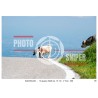 MONTE GRAPPA - 13 - 06 - 2026 ORA 16.00/17.00 N°059