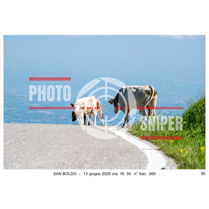 MONTE GRAPPA - 13 - 06 - 2026 ORA 16.00/17.00 N°060