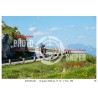 MONTE GRAPPA - 13 - 06 - 2026 ORA 16.00/17.00 N°088