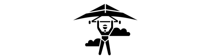 FLY